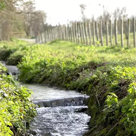 L'appart Lutin Du Bord De * Luc-sur-Mer