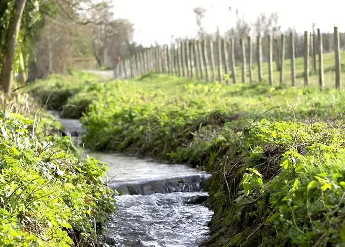 L'appart Lutin Du Bord De * Luc-sur-Mer