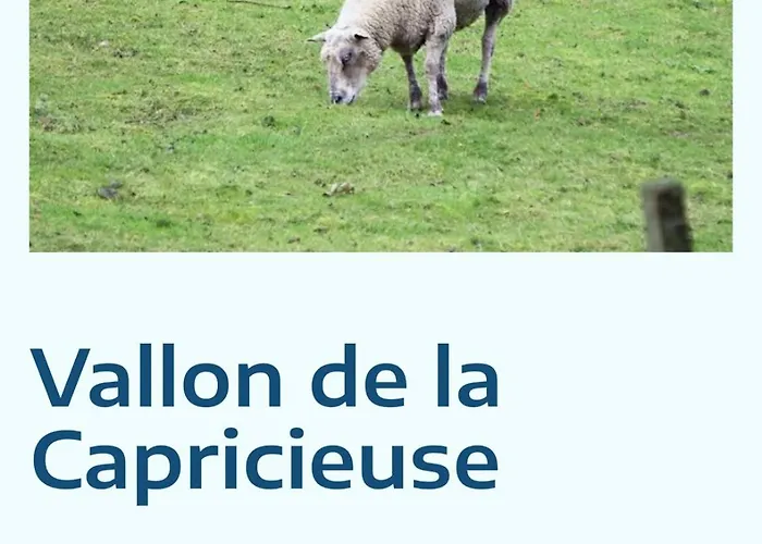 Daire L'appart Lutin Du Bord De *