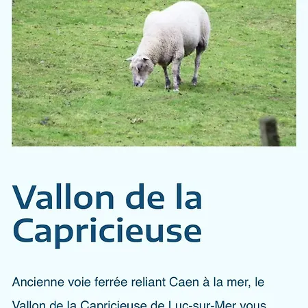 דירה L'appart Lutin Du Bord De *